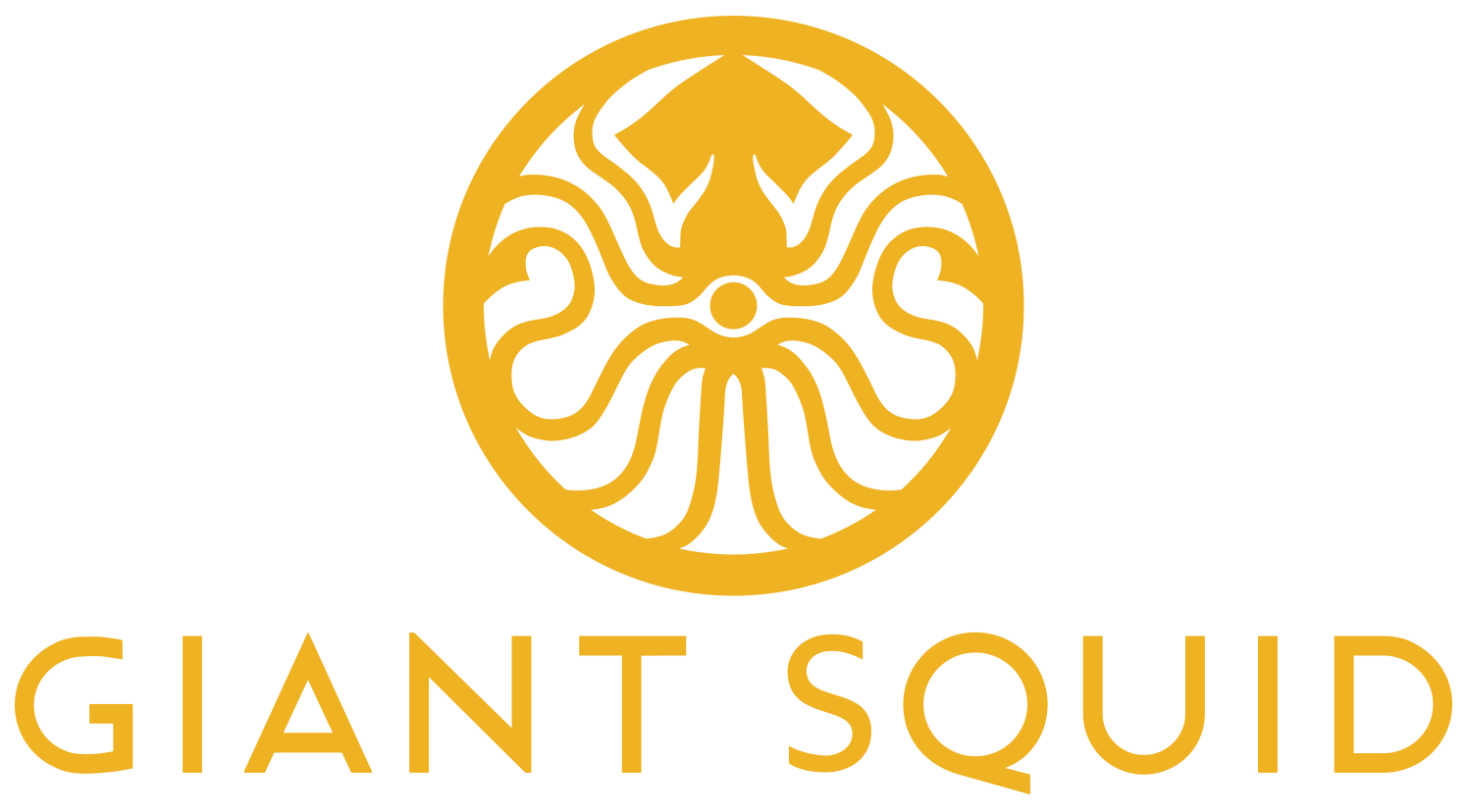 Giant Squid Studios